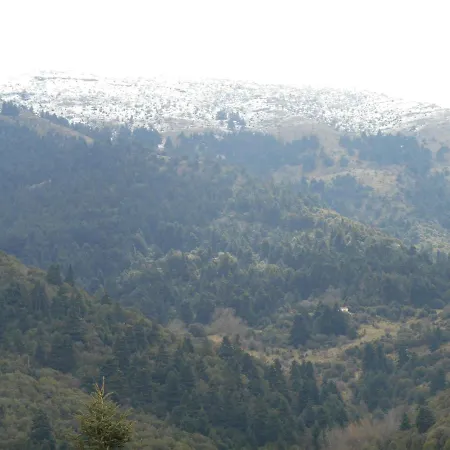 Amadriades Kalavryta